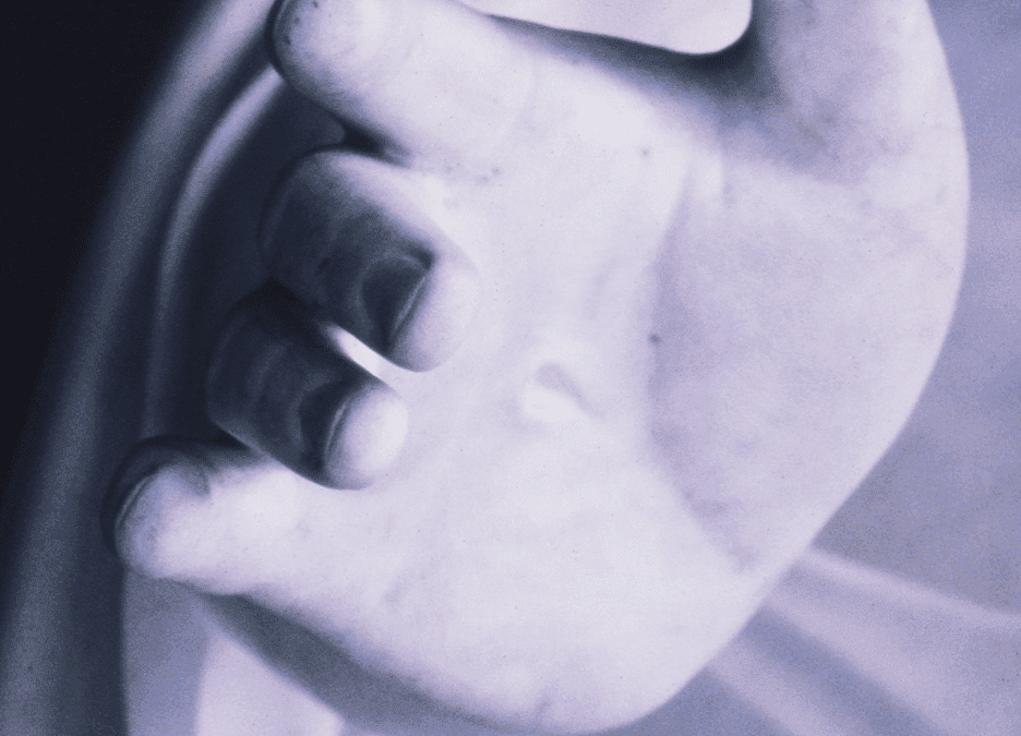 The Savior’s Mission