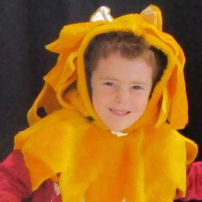 kid wearing costume lion